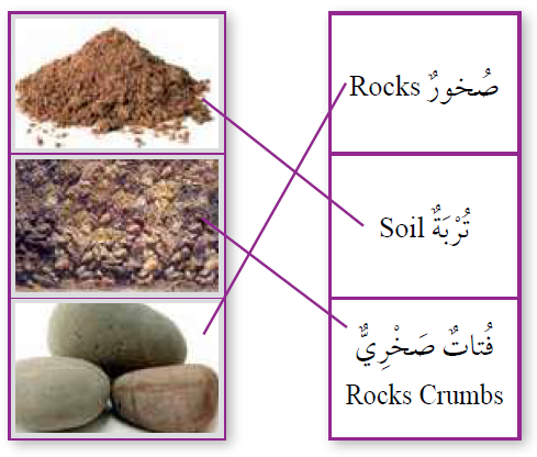 إجابات اسئلة العلوم للصف الثاني